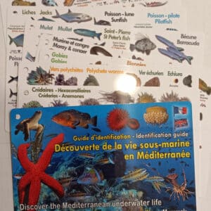 Guide d'identification immergeable Méditerranée