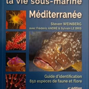Découvrir la vie sous-marine de Méditerranée  Weinberg